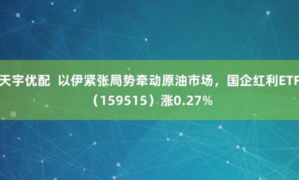天宇优配  以伊紧张局势牵动原油市场，国企红利ETF（159515）涨0.27%