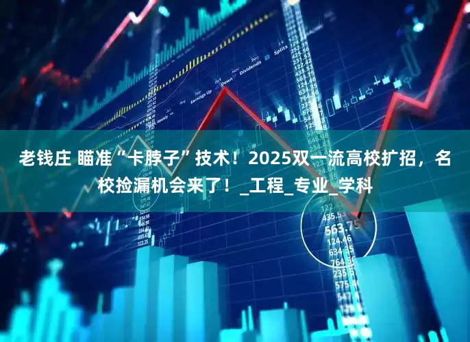 老钱庄 瞄准“卡脖子”技术！2025双一流高校扩招，名校捡漏机会来了！_工程_专业_学科