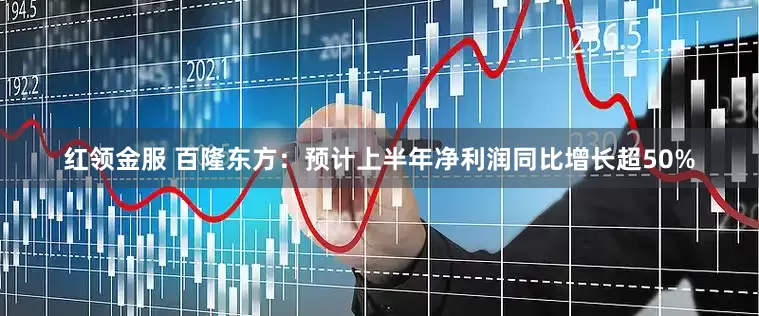 红领金服 百隆东方：预计上半年净利润同比增长超50%